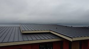 Best Hot Roofs  in Mosheim, TN